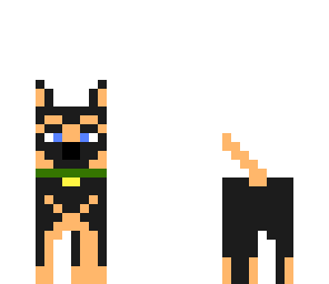 a dog