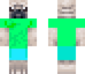 bulldog in cool clothing