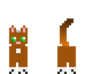 brown cat 