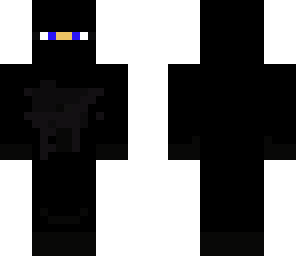 ninja 2