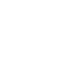 nexus skeleton