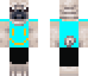 pug