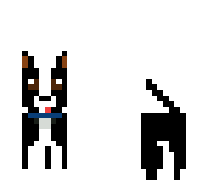 pupy