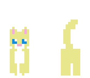 cute cat