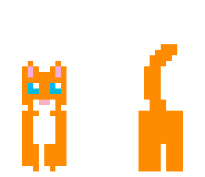 orange cat
