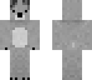 koala