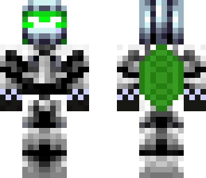 space_turtle