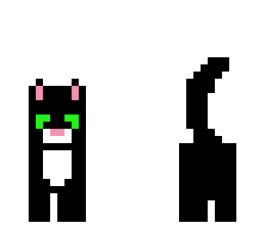 black cat 3