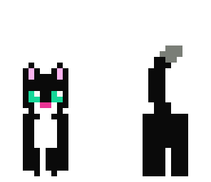 black kitty cat