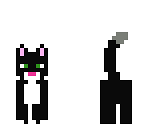 kitty