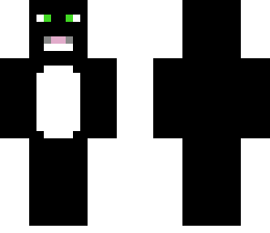 black cat