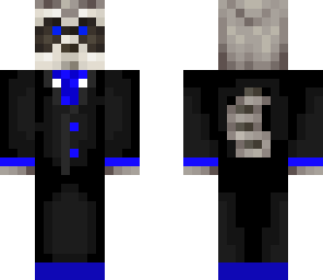 formal raccoon