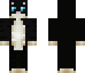 very cute cat