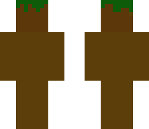 dirt skin