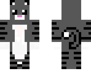 hero cat