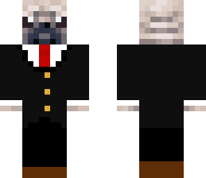 cute pug in a suit