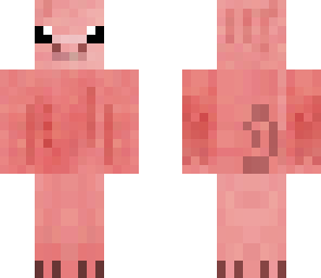baby pig