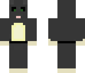 a black belt kitten
