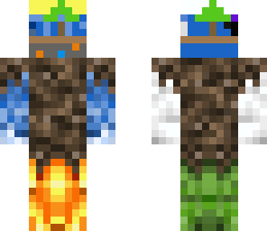 the world of minecraft