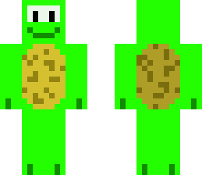 turtle21