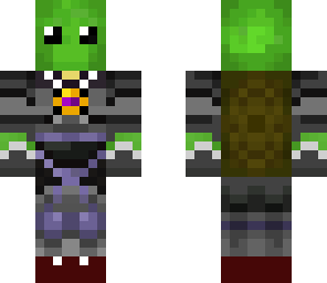 sky turtle