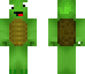 derry  turtle