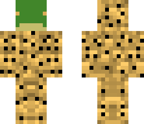 turtle cheetah