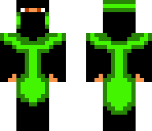 the green ninja