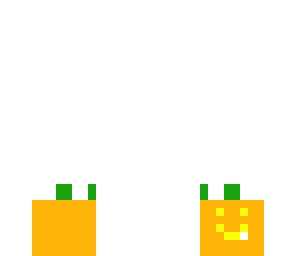 pumpkin skin