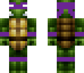 ninja turtle