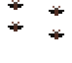 bats