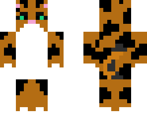 calico cat