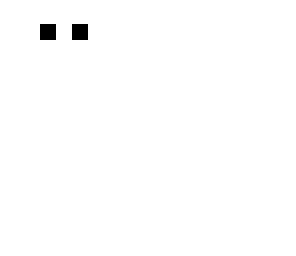 skelet