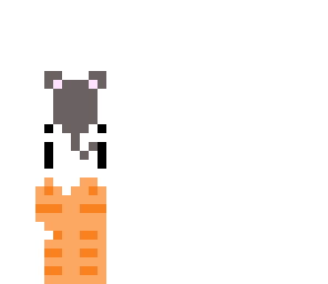 cat and mouse
