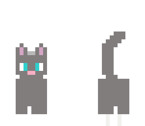 cat gray