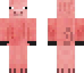 pig