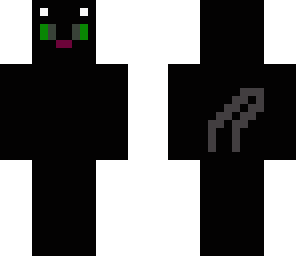 ninja the cat