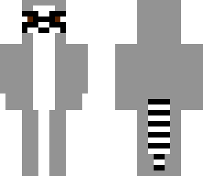 raccoon