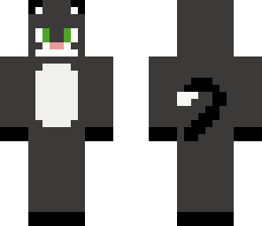 grey cat 
