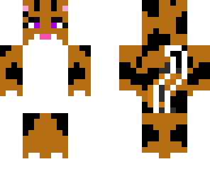 calico cat