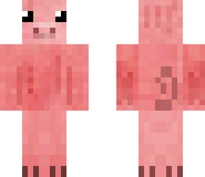 cute pig