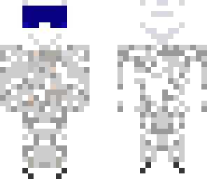 the stig