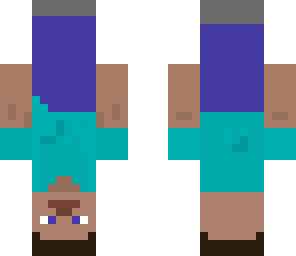 upsidedown steve