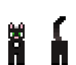 edited cat