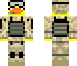 army duck