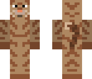 khajiit or cat
