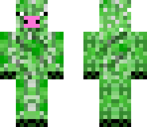 pig