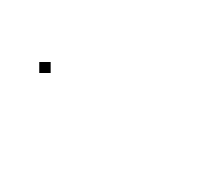 black dot