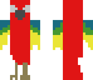 parrot ara