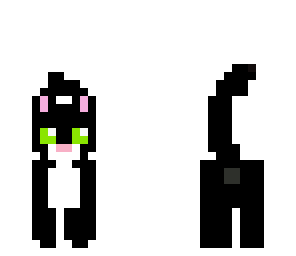 cat black